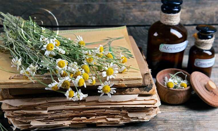 Лечение варикоза в домашних условиях небезопасно