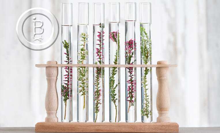 Как сохранить здоровье и молодость надолго?