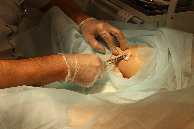 Основные направления хирургии в МЦ Бегмы