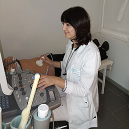 УЗИ брюшной полости