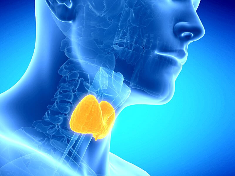 когда обращаться-0